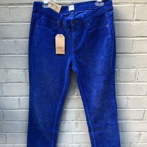 NWT Lands End Canvas Straight Blue Cords Size 30